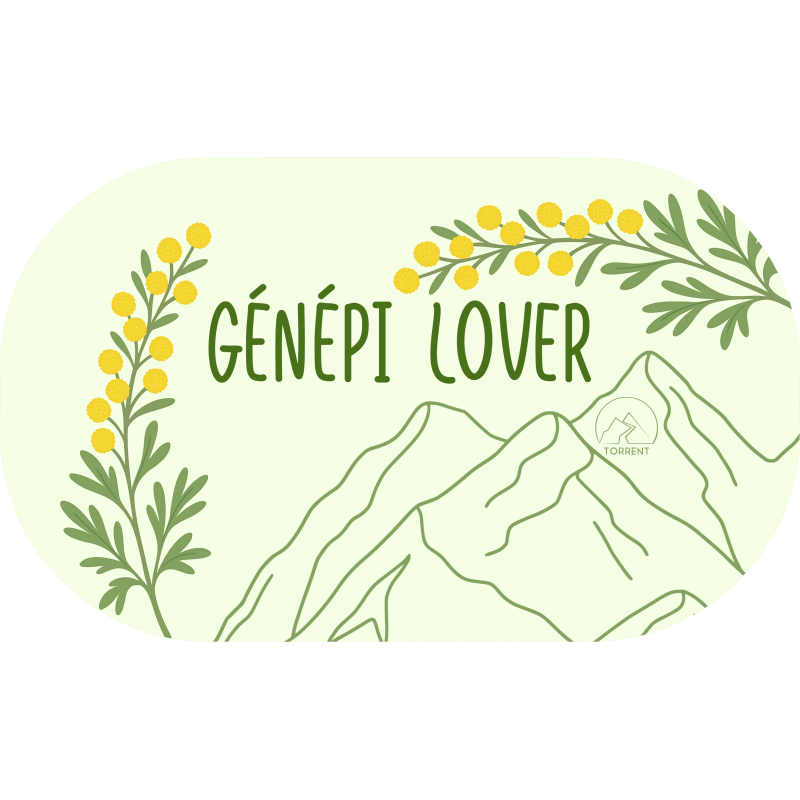 GOGGLE PROTEC|GENEPI| PVC : 9,95€ | Coef : 5.55